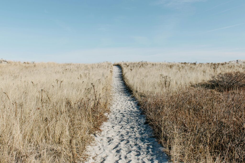 The Myth of the Reveal: Why Your Focus on the Finish Line is Killing Your Progress